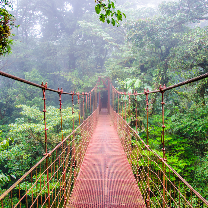 Travel Feature: Costa Rica, Pura Vida
